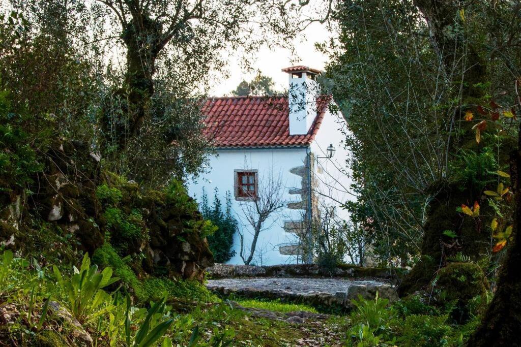 Villa Casa Do Vale Do Papo Pombal  Exterior foto